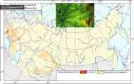 Бактеріальна листова плямистість гарбузових культур (xanthomonas campestris pv. Cucurbitae (bryan)&hellip;