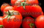 Хвороби томатів