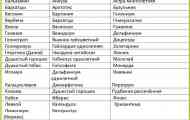 Які квіти посадити на дачі навесні. Посів квітів в грунт.