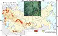 Кладоспоріоз або бура плямистість листя томатів (cladosporium fulvum cooke)