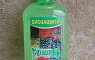 Літо 2011. Дощі, рясні роси, томати і фітофтора. Чарівна &laquo;пігулка&raquo; від&hellip;