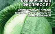 Кращі нові сорти і гібриди капусти білоголової