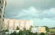 Бджоли в квартирі
