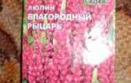 Садимо вовчі боби - люпин багаторічний