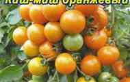 Томат киш-миш помаранчевий