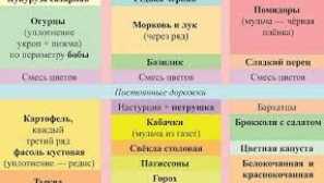 Що посадити на городі. Які овочі садити